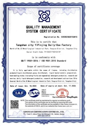 ISO 9001:2015质量管理体系认证(英文)
