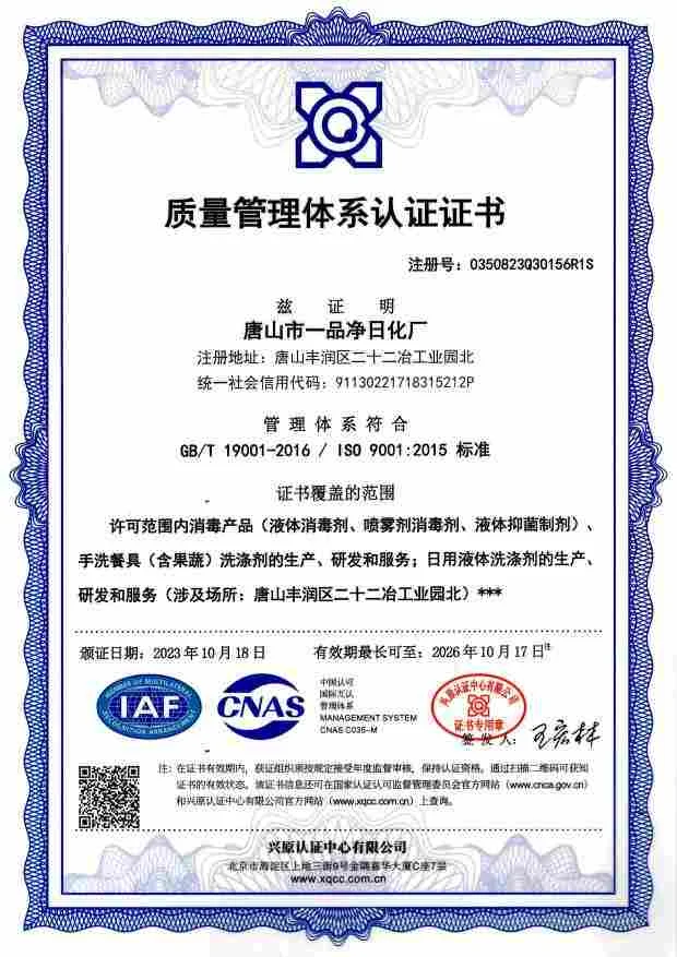ISO 9001:2015质量管理体系认证(中文)